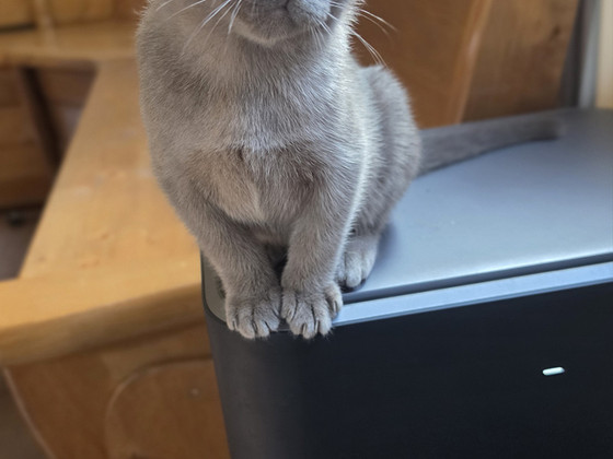Burma