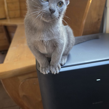 Burma