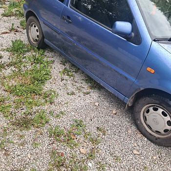 Volkswagen Polo 1995a