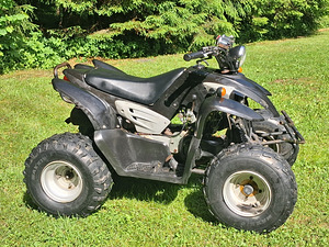 Laste atv (2 foto / 9)