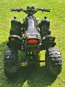 Laste atv (5 foto / 9)