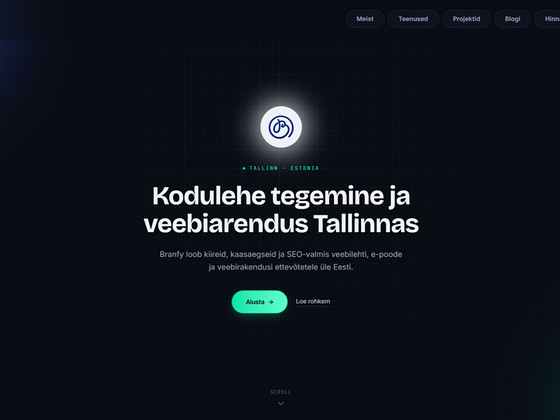 Veebilehe ja e-poe tegemine Tallinnas – Branfy
