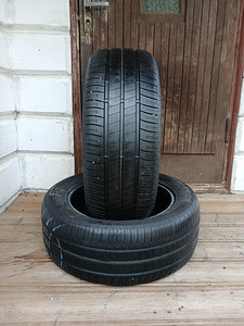 205/55/16 Bridgestone Ecopia (1 foto / 3)