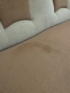 Diivan (6 foto / 6)