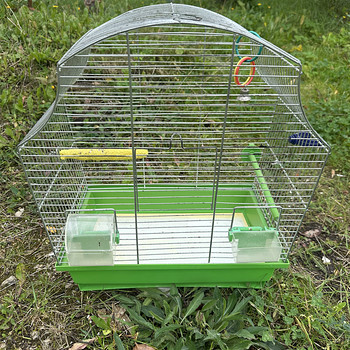 Papagoi puur