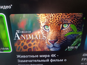 65" Toshiba Smart tv 4K UHD HDR (2 foto / 6)