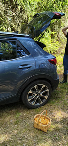 Isiklik autojuht oma sõiduautoga seenele minekuks (1 foto / 1)