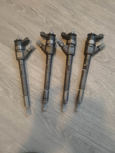 Топливные фарсунки Pegout Partner 1.6 d (2 фото из 2)