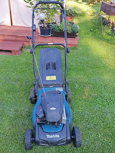 Muruniiduk (1 foto / 3)