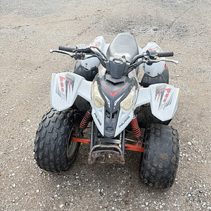 Polaris Predator 50 laste ATV (6 foto / 6)