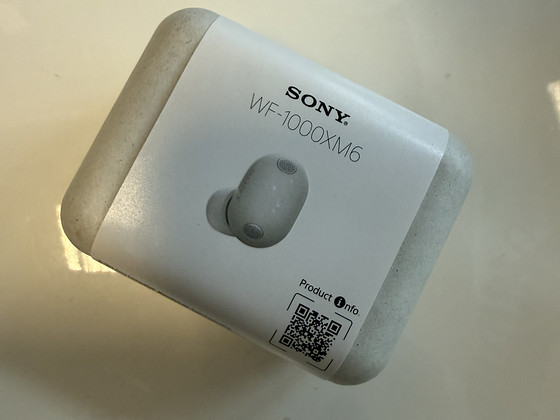 SONY WF-1000XM6
