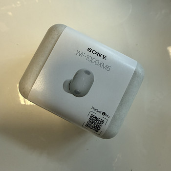 SONY WF-1000XM6