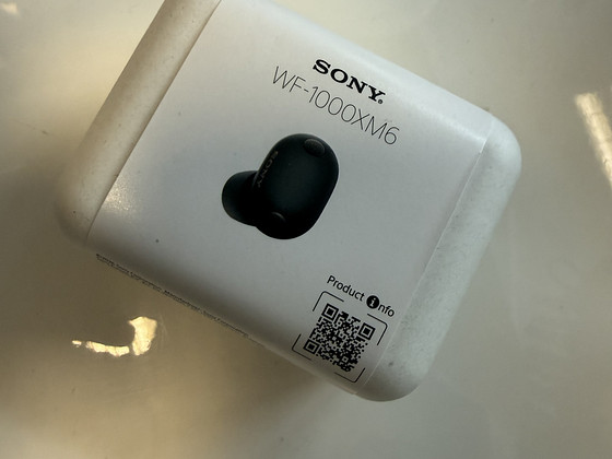 SONY WF-1000XM6