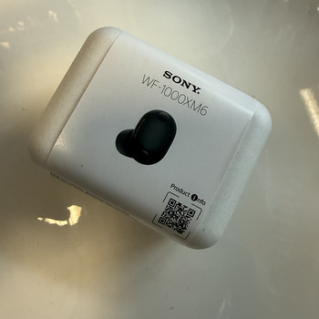 SONY WF-1000XM6