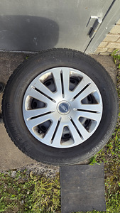 5x108 16" 6.5J, ET50 Ford orig plekkveljed + kilbid 4 tk (4 foto / 7)