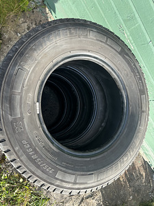 Шины Michelin Agilis Camping 225/75R16 CP M+S (2 фото из 3)