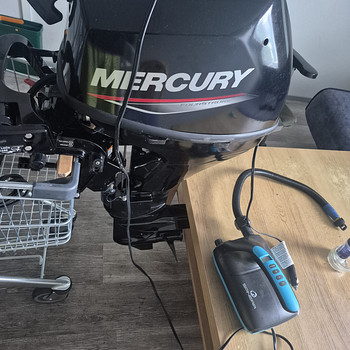 Gladiator 380 +mercury 9.9