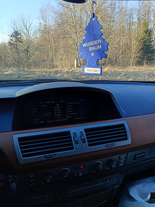 BMW 730d (4 foto / 7)
