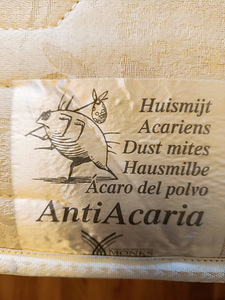 Lamamisdiivan (2 foto / 3)
