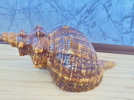 Merikarp