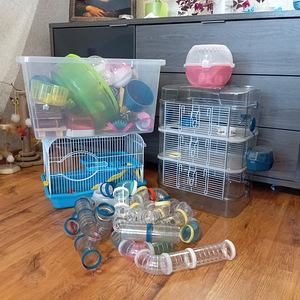 Müün kõike hamstritele (7 foto / 7)