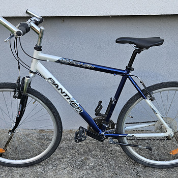 Panther meeste jalgratas 28"