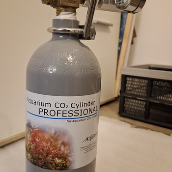 CO2 balloon