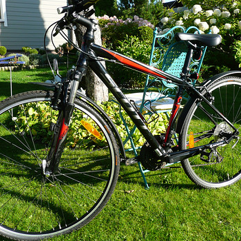 Scott Sportster 50