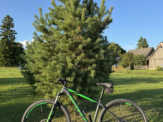 Scott Scale 920