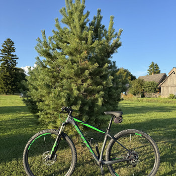 Scott Scale 920