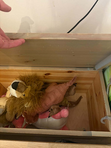 Täispuidust riidekapp ja mänguasjakast laste (4 foto / 4)