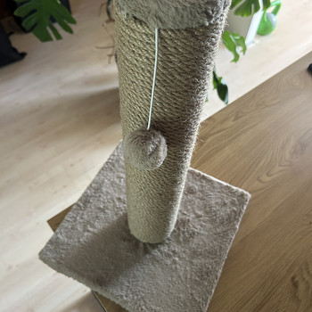 Kraapimispuu