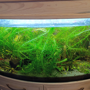 Müüa akvaariumid, 80 l ja 120 l komplektid, töötavad