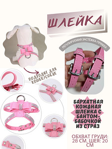 Аксессуары для собак (5 фото из 9)