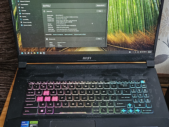 MSI Katana 17 B13V