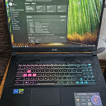 MSI Katana 17 B13V