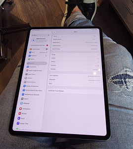 Apple iPad Pro 13 2025 M5 512GB (1 фото из 3)