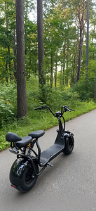 Elektri roller (2 foto / 3)