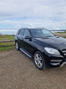 Mercedes (2 foto / 12)