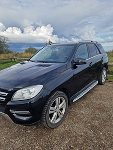 Mercedes (3 foto / 12)