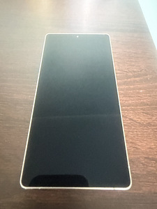 Samsung Galaxy S25 Ultra, 12+512GB, (2 фото из 2)