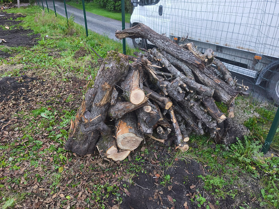 MÜÜA õunapuust küttepuud – 3 -4ruumi
