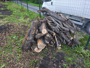 MÜÜA õunapuust küttepuud – 3 -4ruumi (1 foto / 5)