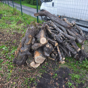 MÜÜA õunapuust küttepuud – 3 -4ruumi