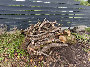 MÜÜA õunapuust küttepuud – 3 -4ruumi (3 foto / 5)