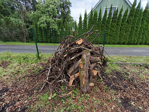 MÜÜA õunapuust küttepuud – 3 -4ruumi (4 foto / 5)