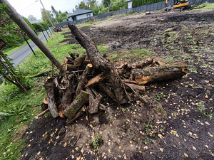 MÜÜA õunapuust küttepuud – 3 -4ruumi (5 foto / 5)