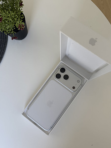 iPhone 17 Pro Max 256GB Silver (1 фото из 10)