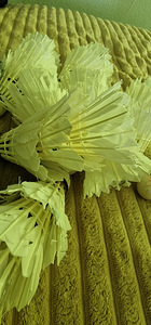 Sulgpall (2 foto / 2)