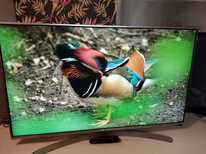 49" LG Smart tv UHD HDR 4K (1 foto / 5)